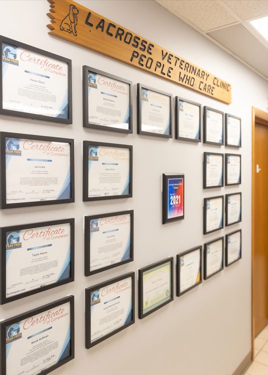wall filled with framed certifications