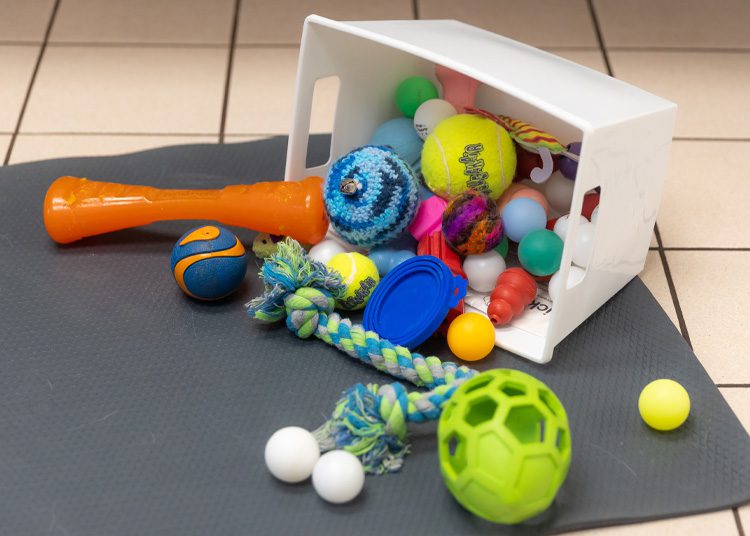 close-up of overturned basket of dog toys on mat