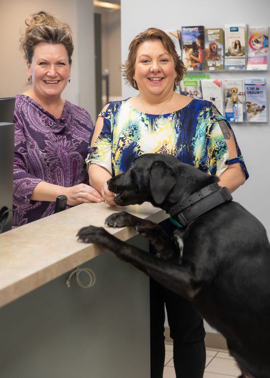 two staff members at front desk with dog eating from one of their hands