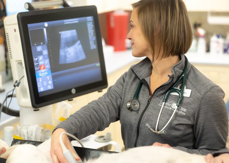 staff member performing ultrasound