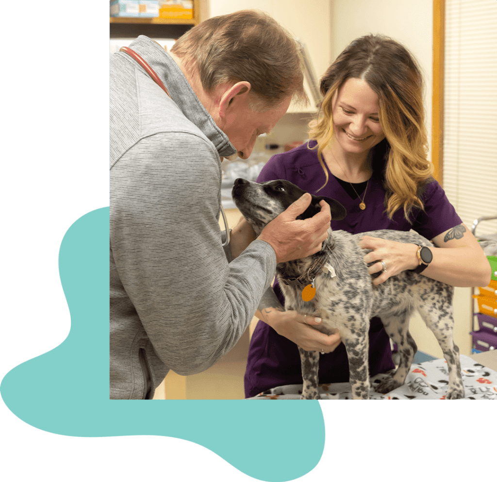 pet-wellness-care-in-la-crosse-wi-la-crosse-veterinary-clinic