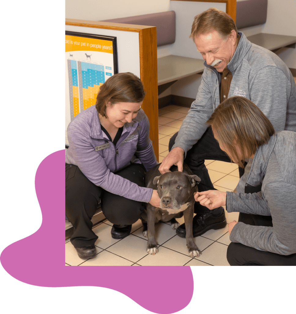 Veterinary Careers in La Crosse, WI La Crosse Veterinary Clinic