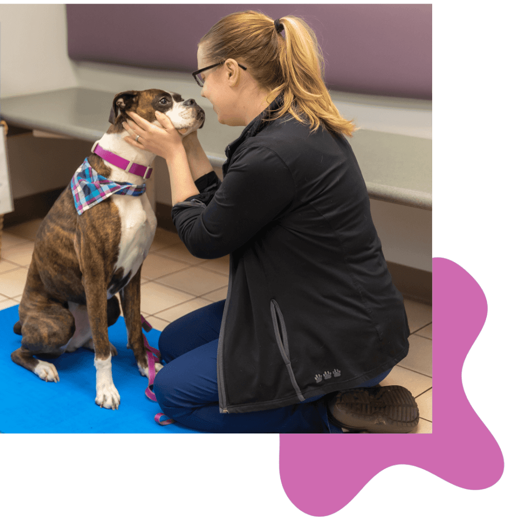 emergency-telehealth-services-in-la-crosse-wi-la-crosse-veterinary